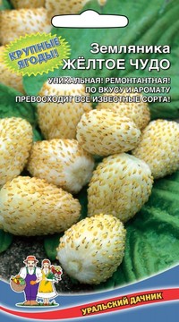 Земляника ЖЁЛТОЕ ЧУДО