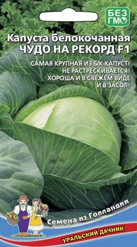 Капуста белокочанная ЧУДО НА РЕКОРД F1
