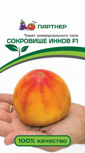 1 1