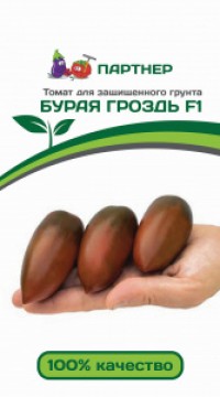Томат Бурая Гроздь F1