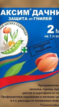 МАКСИМ ДАЧНИК