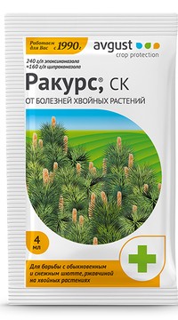 Ракурс