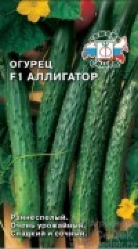 ОГУРЕЦ АЛЛИГАТОР F1