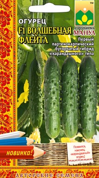 Огурец Волшебная флейта F1