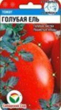 Томат Голубая ель