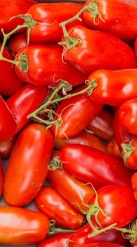 Томат Дамские пальчики