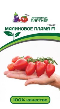 ТОМАТ МАЛИНОВОЕ ПЛАМЯ F1