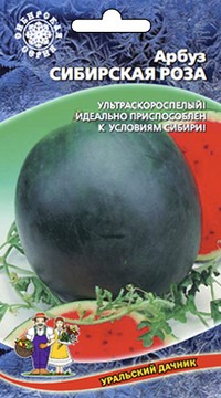 Арбуз Сибирская Роза