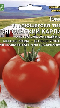 ТОМАТ  МОНГОЛЬСКИЙ КАРЛИК