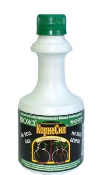 КорнеСил