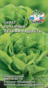 Салат Летняя радость кочанный (Ромен)