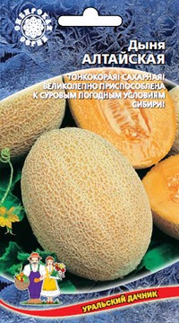 Дыня Алтайская