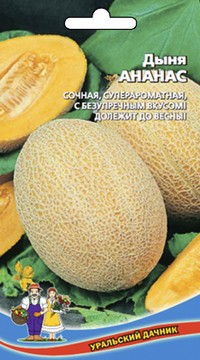 Дыня Ананас