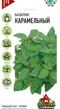 Базилик Карамельный
