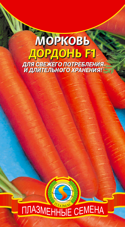 morkov-dordon- morkov-dordon-