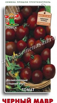 Томат Черный мавр