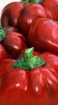 Перец Новогогошары