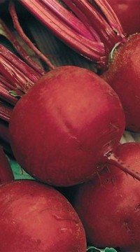 Свекла Красный Шар