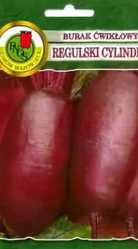 Свекла Регульская цилиндрическая