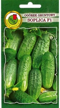 Огурец Соплица F1