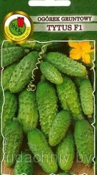 Огурец Титус F1
