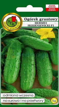 Огурец Хермес Скерневицкий  F1
