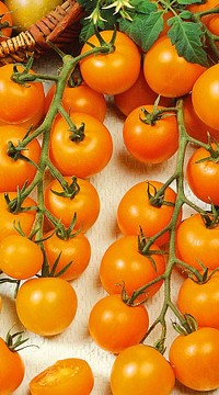 Помидоры Ликер F1