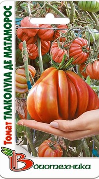 Томат Тлаколула де Матаморос