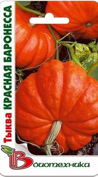 Тыква Красная баронесса