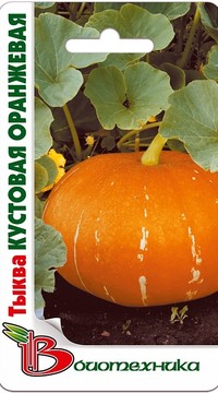 Тыква Кустовая оранжевая Био