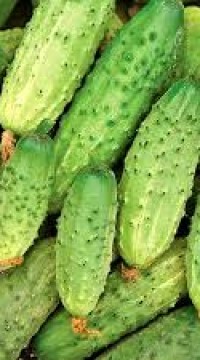Огурец Родничок F1
