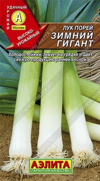 Лук порей зимний гигант