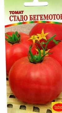 Томат  Стадо бегемотов