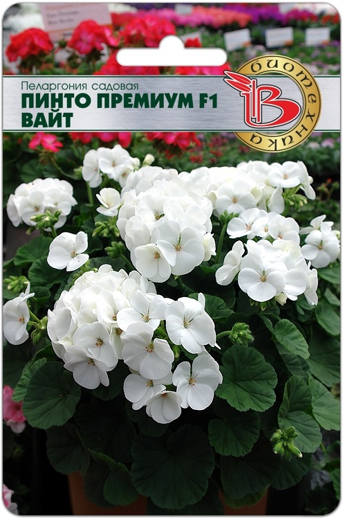 73A38A67-F07F-4A11-B849-65A86A5477D5 73A38A67-F07F-4A11-B849-65A86A5477D5