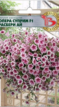 Петуния Опера Суприм Расбери Ай F1