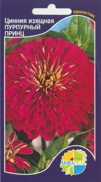 Цинния изящная Пурпурный принц