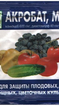 Акробат