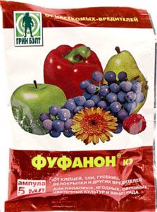fuf-223x300 fuf-223x300