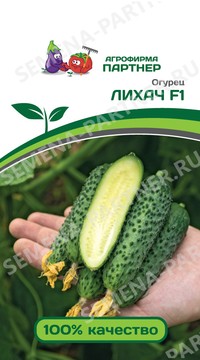 Огурец Лихач F1