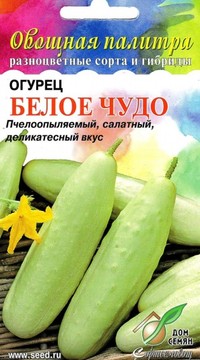 Огурец  Белое чудо
