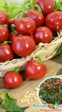 Перец Трюфелек Красный F1