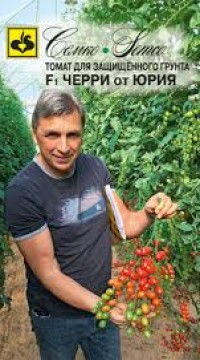 Томат черри от Юрия F1