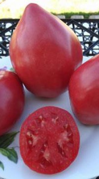 Томат Минусинские Стаканы