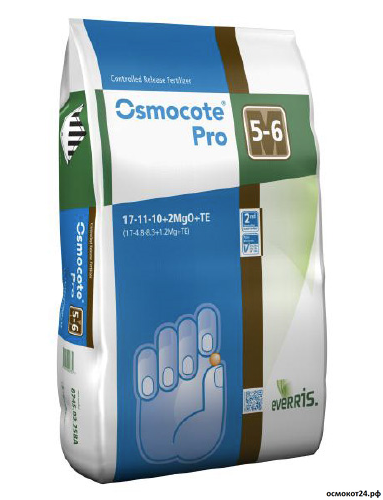 осмокт 6 осмокт 6