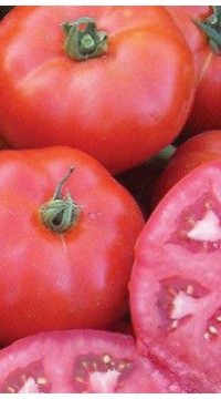 Томат Мармара F1