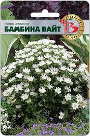 вайт вайт