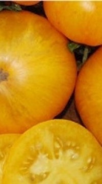 Томат Свиная Отбивная
