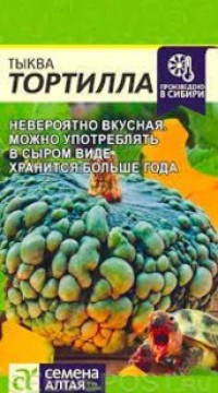 Тыква Тортилла