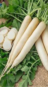 Дайкон Миновасе Саммеркросс F1