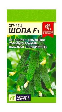 Огурец Шопа F1